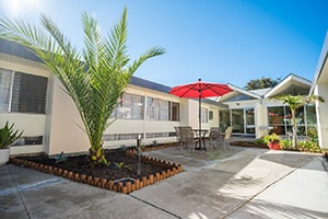 A shaded courtyard and palm tree area at Central Gardens Post Acute